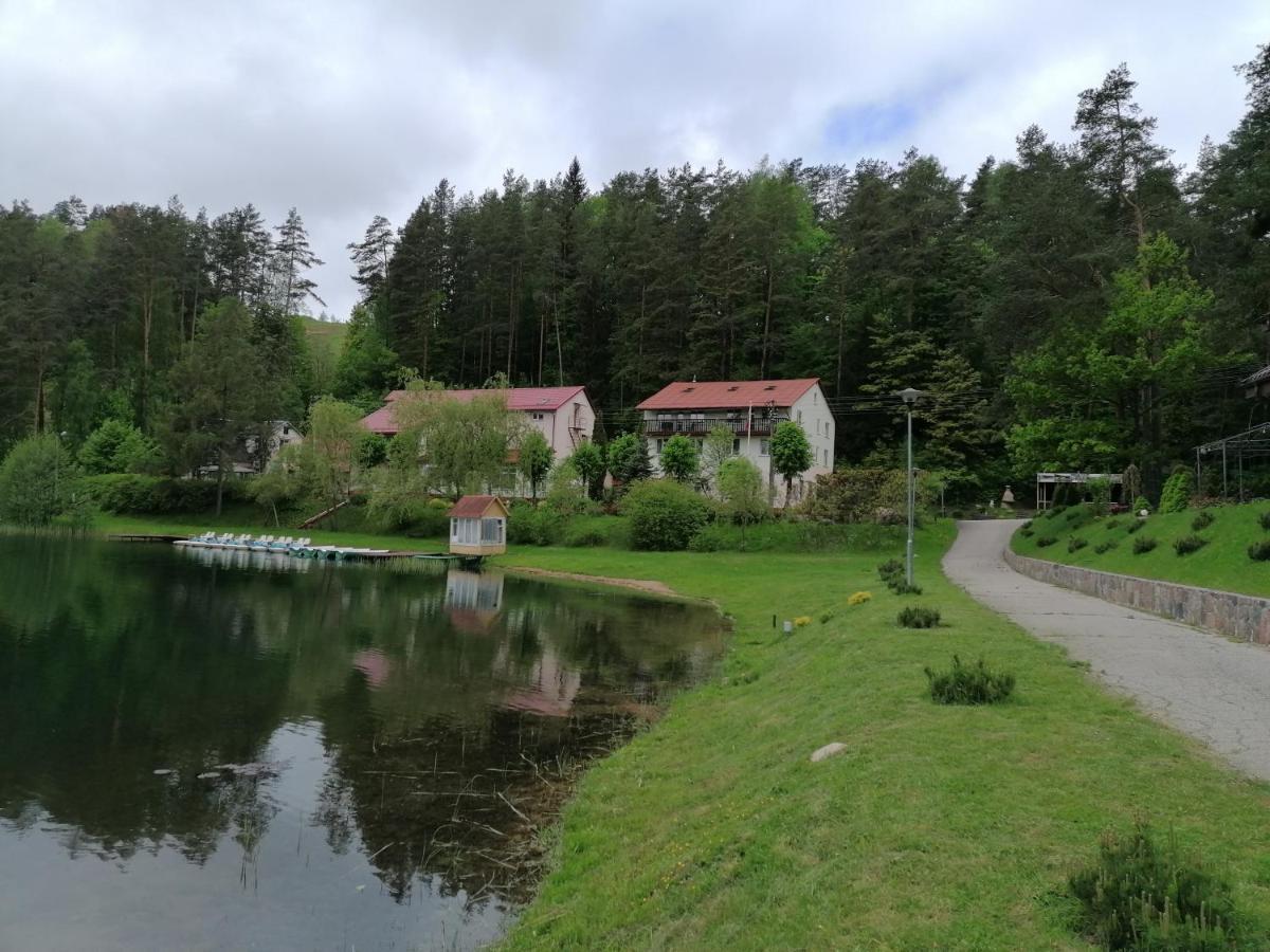Sveciu Namai Aldaivita Ignalina Bagian luar foto