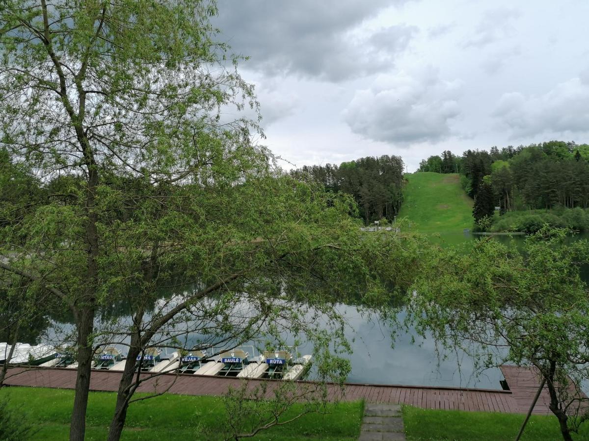Sveciu Namai Aldaivita Ignalina Bagian luar foto
